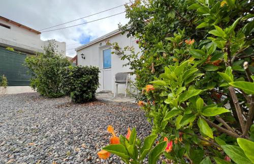 Nature Escape Tenerife - Foto 7