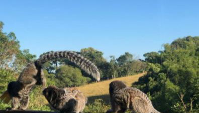 Chalé No Mundo da Lua - Photo 2