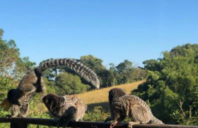 Chalé No Mundo da Lua - Photo 2