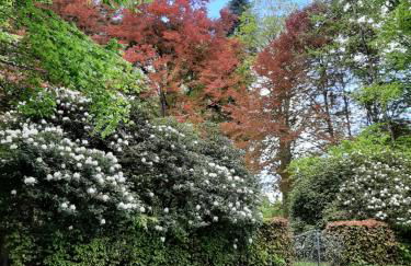 Ferienwohnung Beate 2 - Foto 16