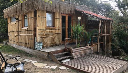 Cabane bambou - Photo 2