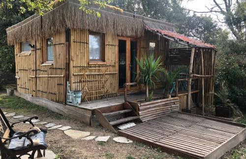 Cabane bambou - Photo 2