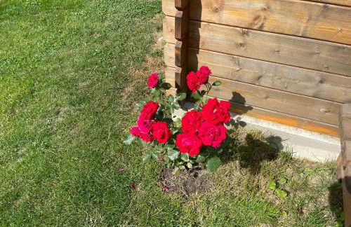 Pension Hugo - Foto 67