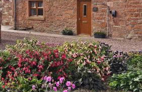 Family friendly farmhouse with games and cinema room - Foto 8