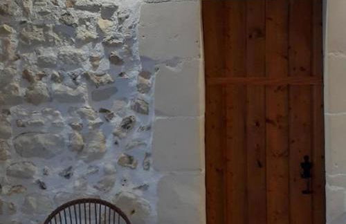 Gîte de charme proche du ZooParc de Beauval - 2 terrasses, jardin, cheminée, clim, parking gratuit - FR-1-491-408 - Foto 20