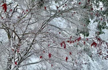 The Blue House On The Hill Catskills—Views - Photo 24