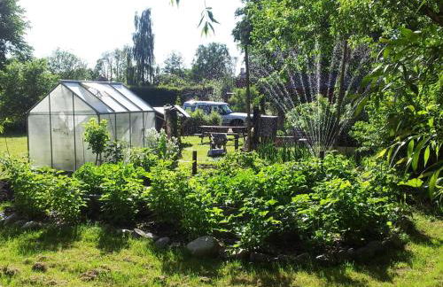 Mühle W02 - Foto 34