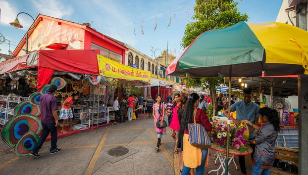 Tour privato di mezza giornata alla scoperta del patrimonio culturale in risciò - Foto 2