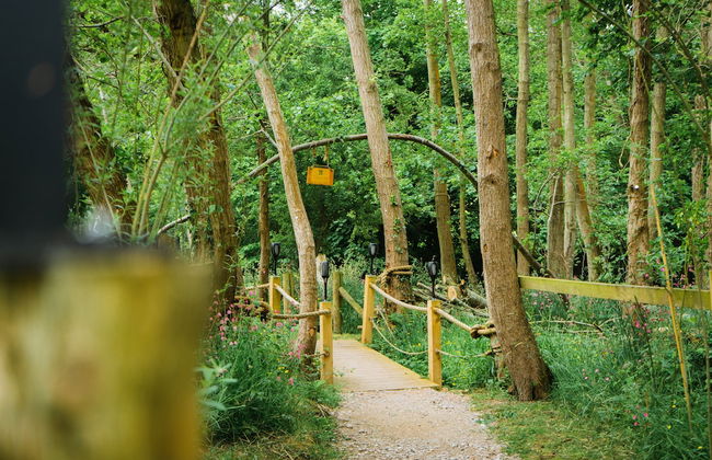 Emlyn's Coppice - Woodland Glamping - Foto 49