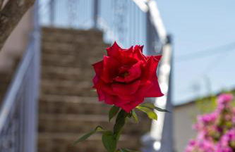 Liakos' Apartments - Foto 63