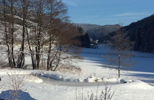 Landferienwohnung Simon - Foto 43