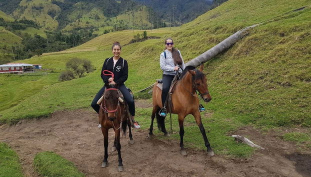 Horse riding in the Guadalajara Reserve