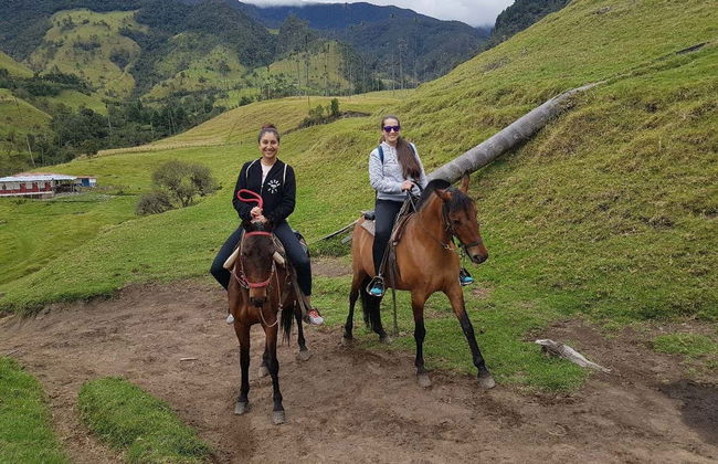 Cocora Valley Private Day Trip & Horse Riding - Foto 2