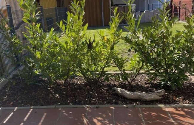 Fischerhus Fehmarn Comfortable Holiday Residence - Photo 24