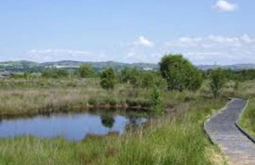 Yr Hen Efail - Old Smithy - Foto 8