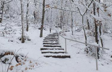 Alter Werkstatt - Foto 33