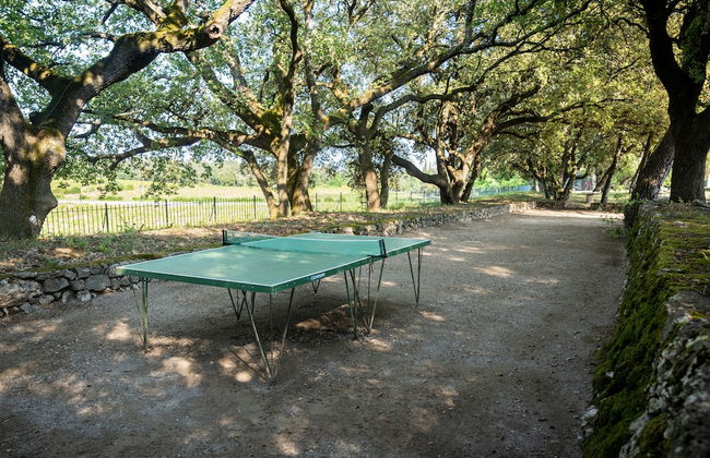 Château les Crostes - Foto 69