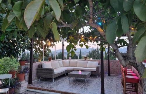 Finca Vista El Montanes - Photo 44