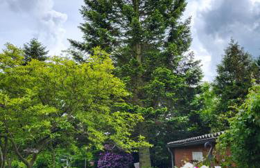 Westküste Ferienwohnung - Foto 1