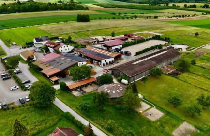 Auszeit und Idylle auf dem Pferdehof - Foto 10