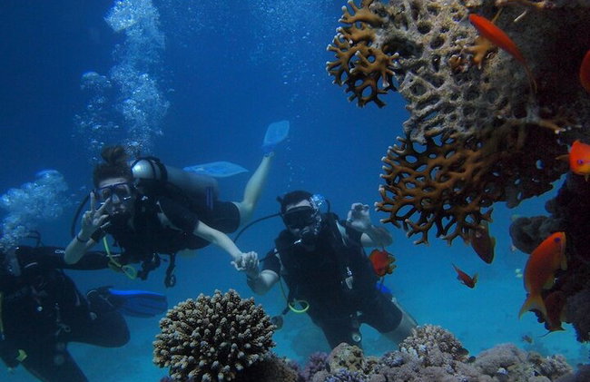 Tauchabenteuer in Alanya mit Mittagessen und Hoteltransfer - Foto 10