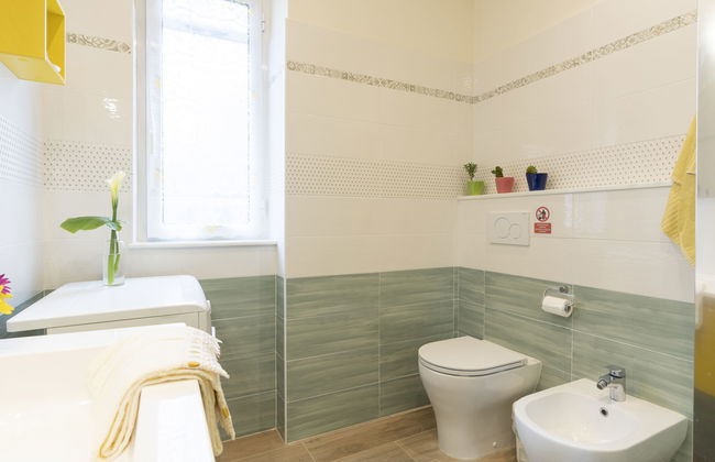 Coty (IMP522) - Foto 12