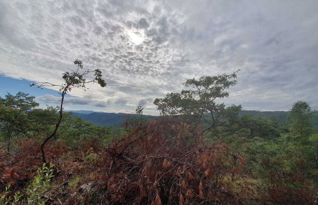 Another Holiday Home - Foto 8