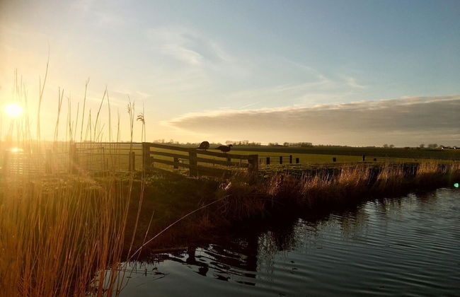 Relax Cozy Dirkshorn Stay - Photo 32