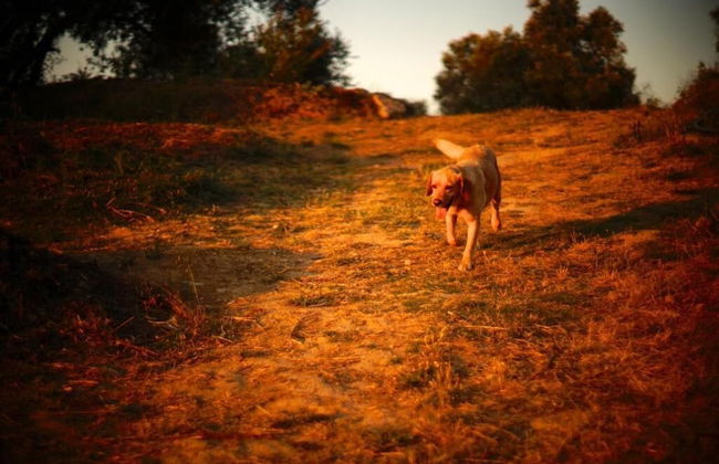 Biovilla Sustentabilidade - Foto 24