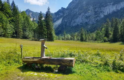 Im Naturgarten - Foto 30