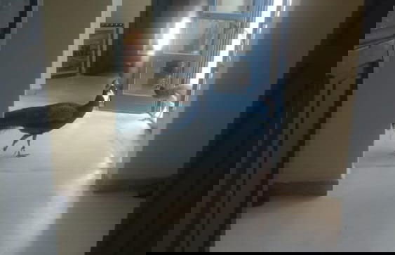 Marrakesh 6-bed Housing Authentic Berber - Foto 27