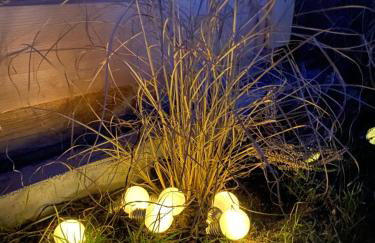 Na Wrzosowej, domy z bala PREMIUM, blisko Suntago - Photo 23