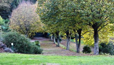 El Estudio - Foto 5, Garden