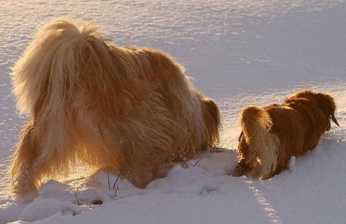 Ferienwohnung Waldstraße - Foto 57