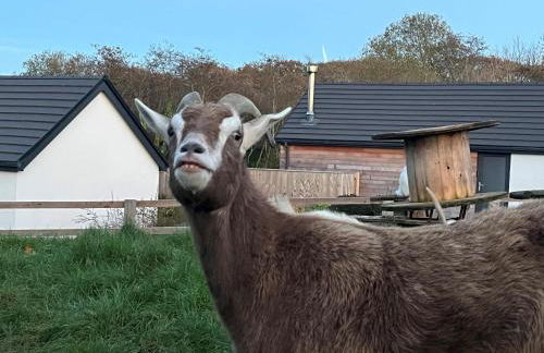 Sycamore Cottage - Photo 58