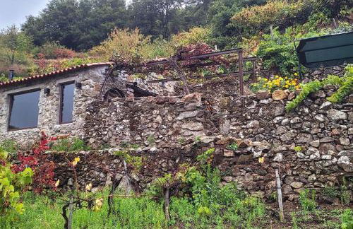 cabaña do rei - Foto 37