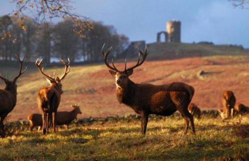 University Apartment • Sleeps 8 - Foto 7