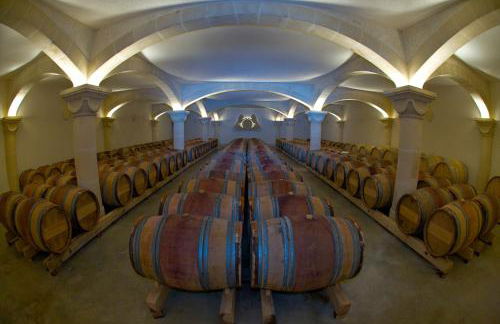 Château Saint Martin de La Garrigue - Foto 24