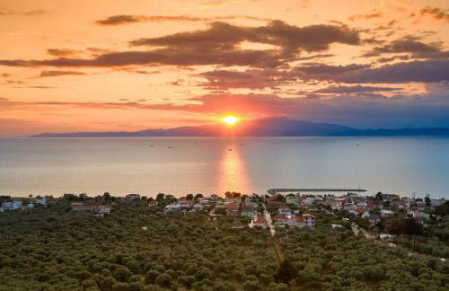 STUDIOS PIGASOS - Foto 30