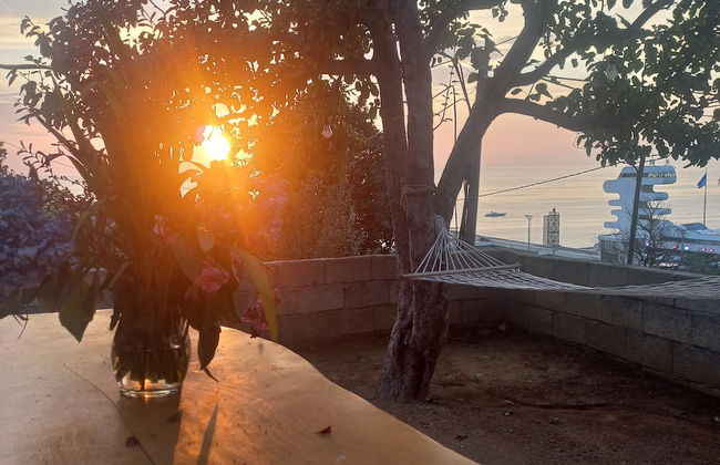 Sarp bungalov - Photo 11