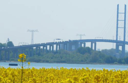 Fewo Rügen Böttger - Foto 29