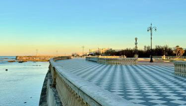 NOAcH experience - Foto 2