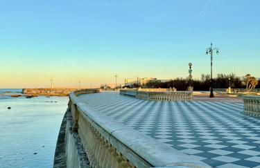 NOAcH experience - Foto 2