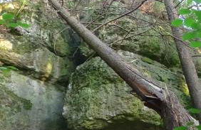 Ferienhaus zum Berg - Foto 41