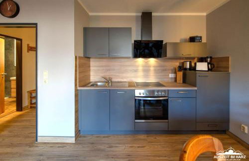 Auszeit-im-Harz Haus 5 Wohnung 25 - Foto 9