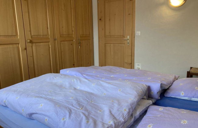 Fichte (Sulliger) - Foto 24