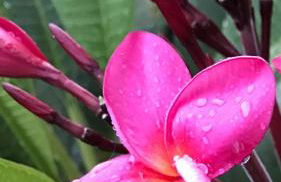 Barra Holiday Apartamentos - Foto 78