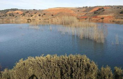 Casa rural L´Amparo -3 espigas- Categoría superior-15 personas - Foto 28