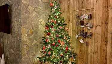 Stone Lake Luxury Lodge - Photo 2