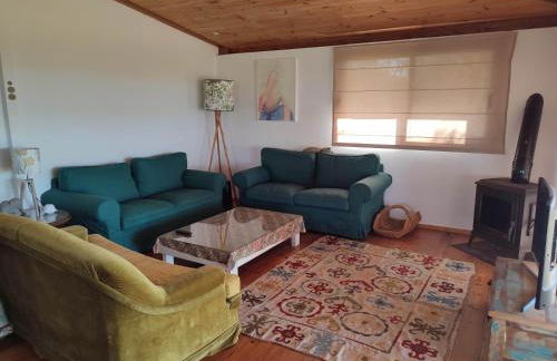 El Abejaruco - Foto 25